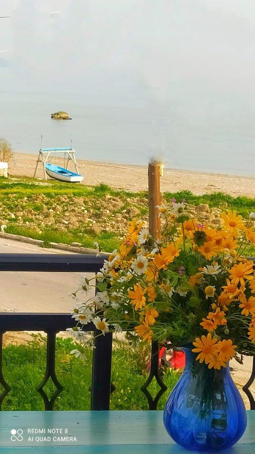 شقة Socrates Sea View Kampos Marathokampou المظهر الخارجي الصورة