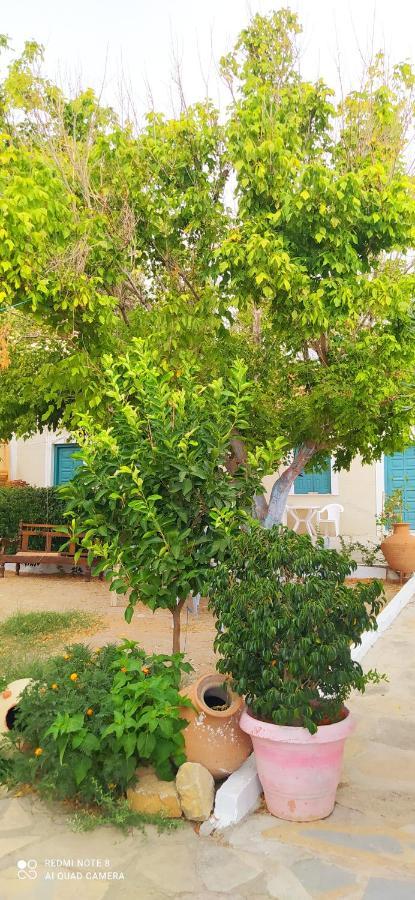 شقة Socrates Sea View Kampos Marathokampou المظهر الخارجي الصورة